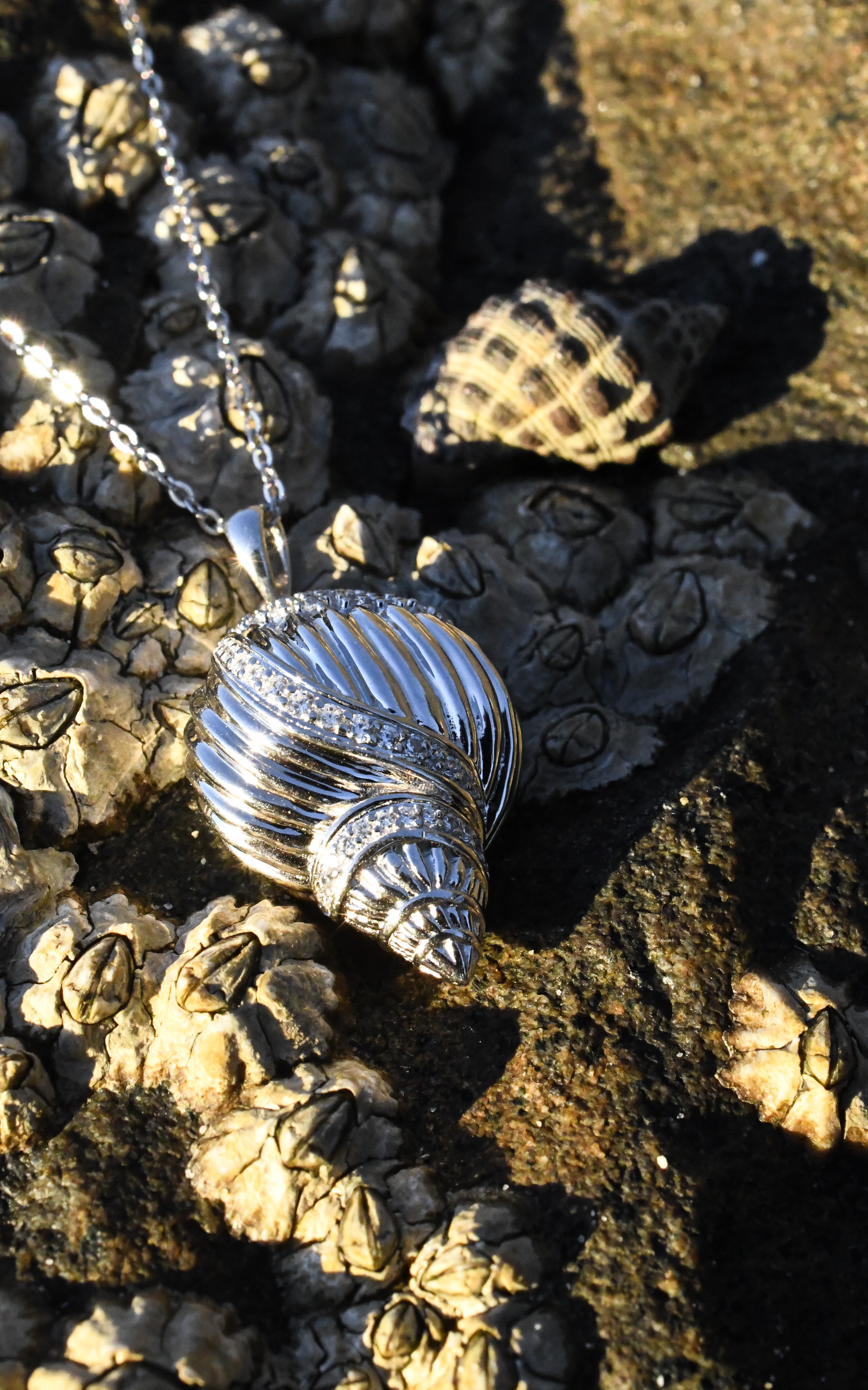 Spiral Shell Pendant in Sterling Silver